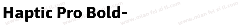 Haptic Pro Bold字体转换